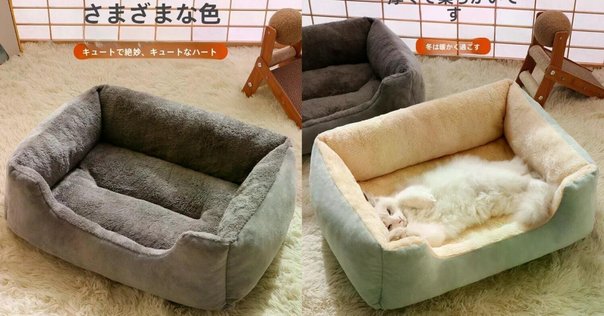 CAARANYはどこの国のブランド？ペットドライルーム・65L大容量