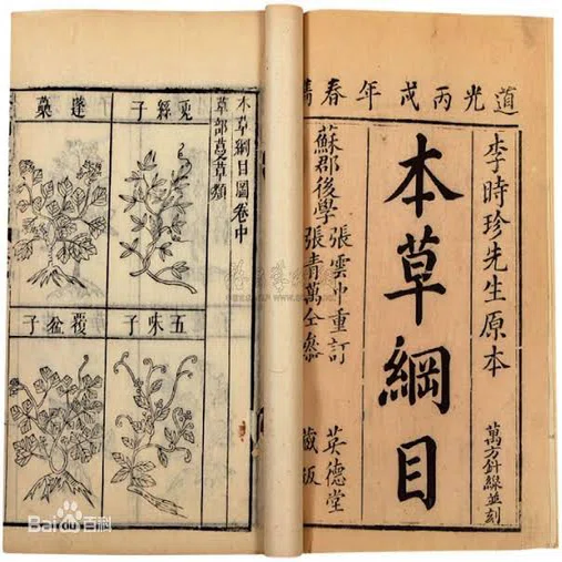 1803本草綱目啓蒙のバイゲタ（ベ考196）｜『あそび』と『まなび』研究所