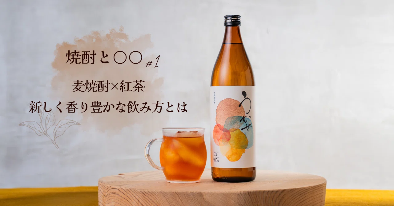 新品　萩焼　岡田　裕　ビールジョッキ　手作りオレンジ色マグカップ　お湯割　焼酎 rectangle_large_type_2_fafab0f