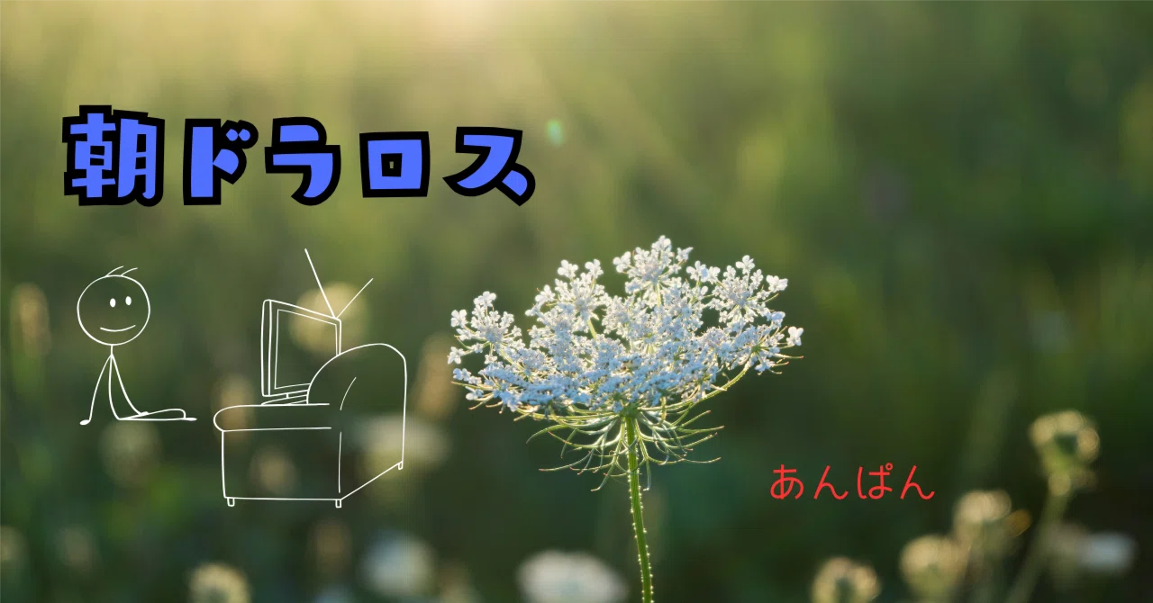 I'm suffering from morning drama withdrawal. Anpan.｜Lily Kobayashi