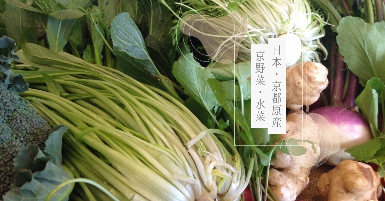 Authentic Mizuna is as big as Napa cabbage!｜39vegetable