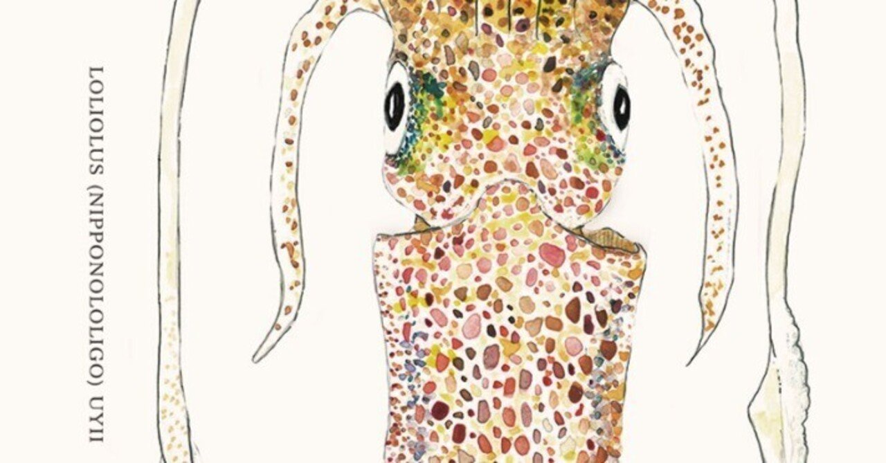 企画展＞烏賊絵画展 #イカ展｜なるかわしんご