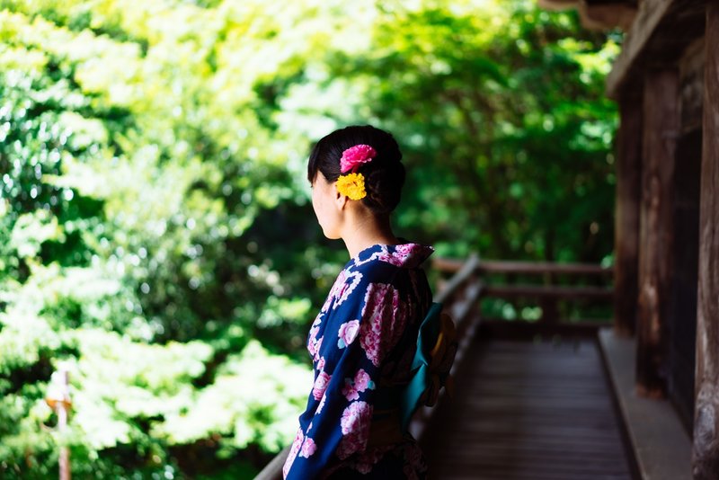 Sonnar T Fe 55mm F1 8 Za わぁぷ Note