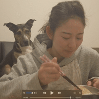 おもちゃ遊びは一生の趣味 子犬のしつこさを大切にしてほしい話 横山ゆかり Note