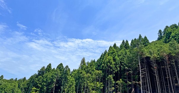 旧日本軍　昭和19年　瀧第五三四二部隊長陸軍大佐　吉松喜三　直筆/緑の連隊長 旧日本軍 昭和19年 瀧第五三四二部隊長陸軍大佐