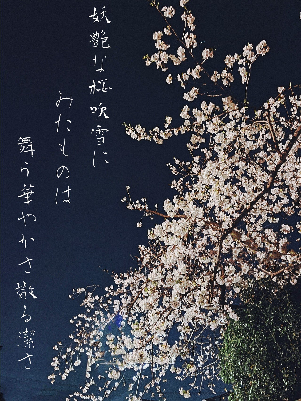 夜桜の写真で 短歌を一首 柘榴 Note