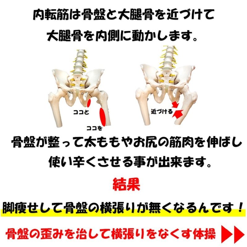骨盤の横張りを治す為に内転筋が必要な理由をおすすめの矯正体操3選 Revisionginza Note 骨盤の横張りを治す為に内転筋が必要な理由をおすすめの矯正体操3選 Revisionginza Note