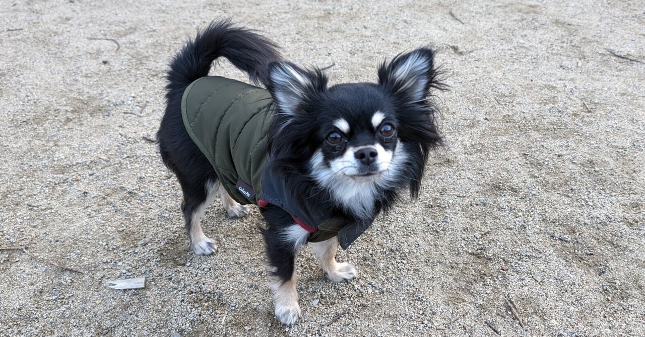 デジタル庁で働いてみた!|なかむら さとる