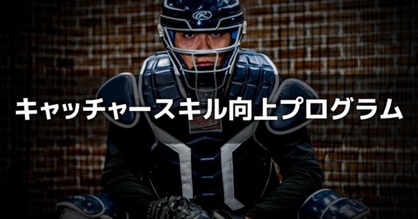 柔術教則レビュー「加古拓渡 Institute of Jiu-jitsu HALF GUARD