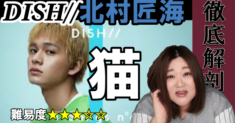 解説シート Dish 北村匠海 猫 Sakiko Note