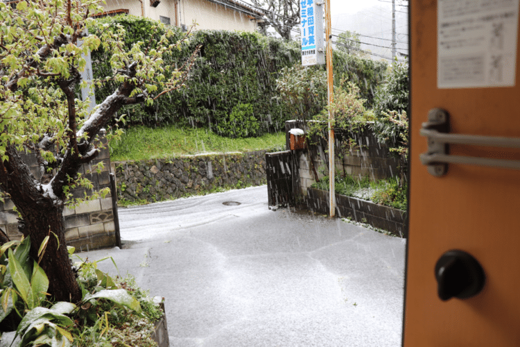 本日、鎌倉は雪が降った。