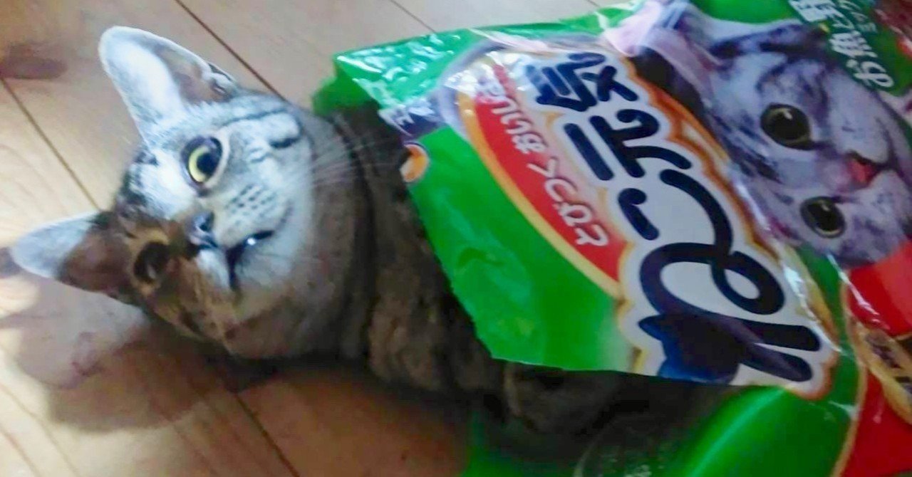 08 かわいい先生 とは何ぞや 猿山の頂点に立つべし つたみ千秋 Note