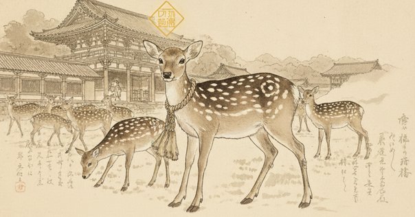 鹿の角　10本まとめて　名勝耶馬渓産　魔除け 鹿の角 10本まとめて 名勝耶馬渓産 魔除け 鹿の角 10