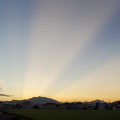 2022/02 第125号「お念仏とともに歩む人生」｜万行寺