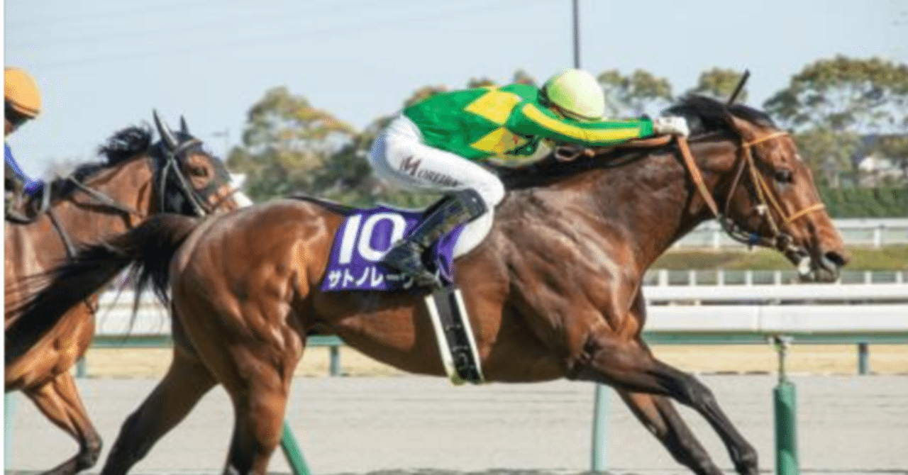 スプリンターズS～2025～｜Maytenレーシングクラブ