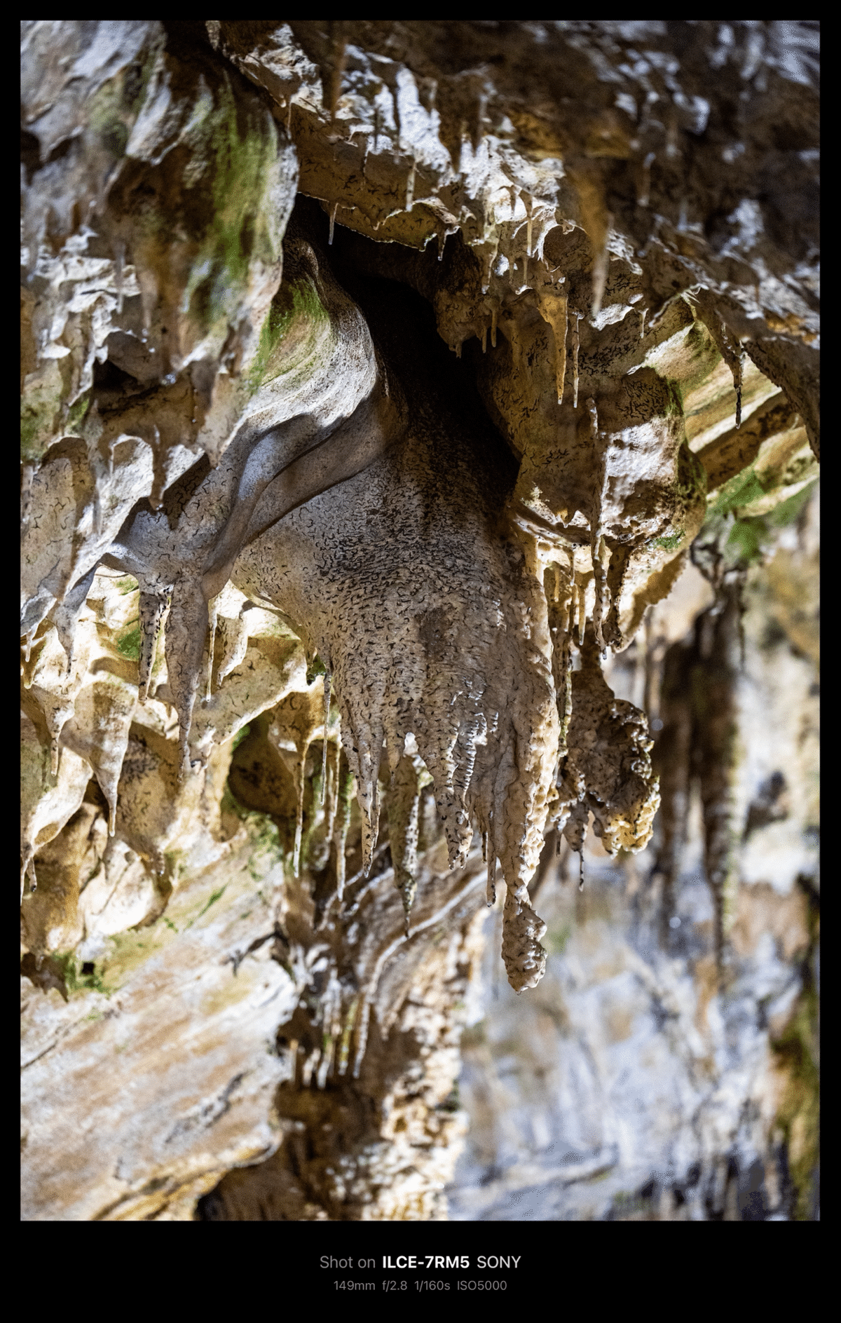 切り取られた鍾乳洞 飛騨大鍾乳洞 / Hida Great Limestone Cave(Gifu, Japan)｜N