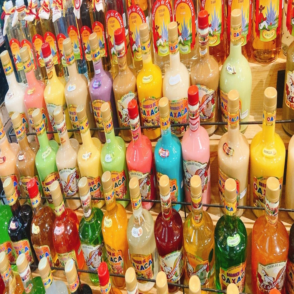 メキシコ6】オアハカ③｜Mai