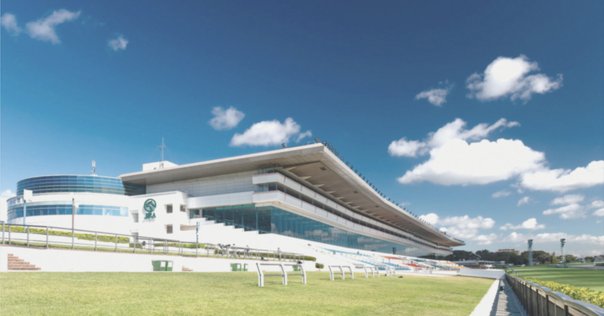 アグネスデジタル他17頭　00年 マイルCS　現地的中単勝馬券　人気薄・貴重 アグネスデジタル他17頭 00年 マイルCS 現地的中単勝馬券 人気薄