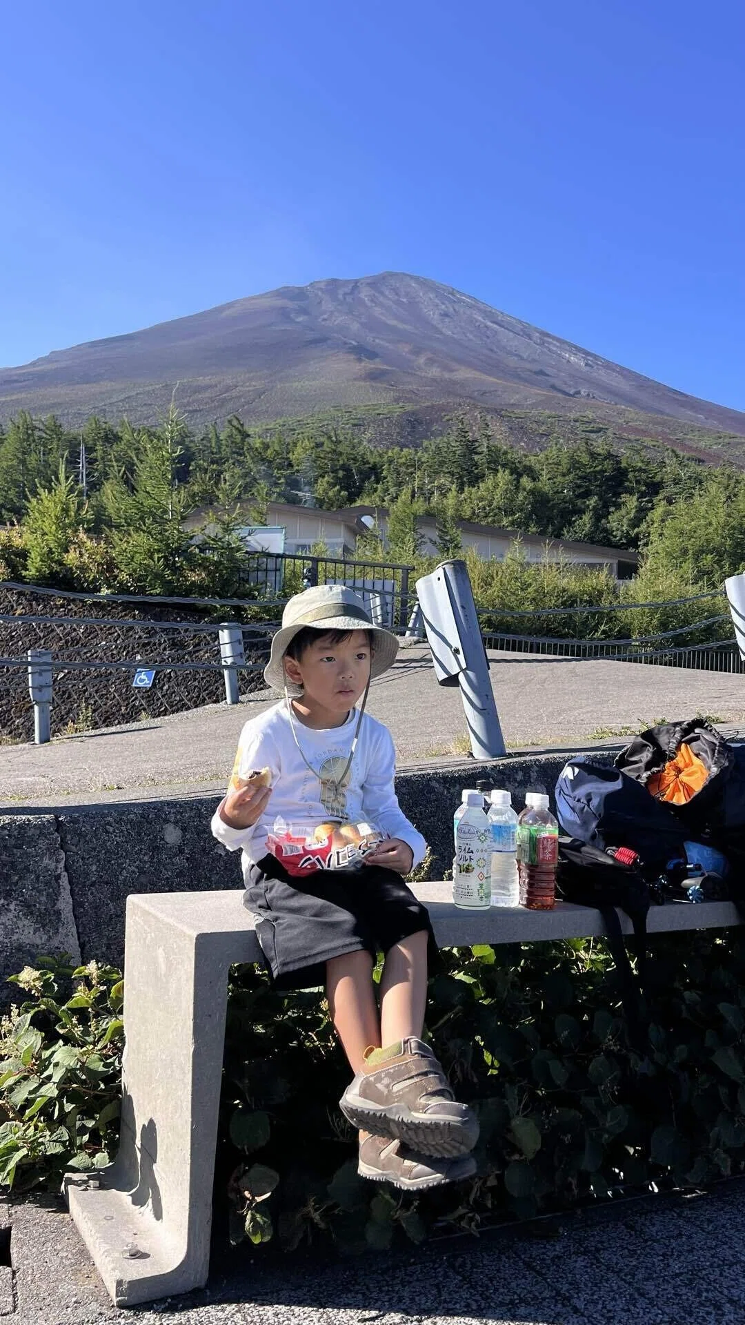 5歳児、みんなで富士山に登る: CD-ROM付き 2026年版山の日とは？保育園