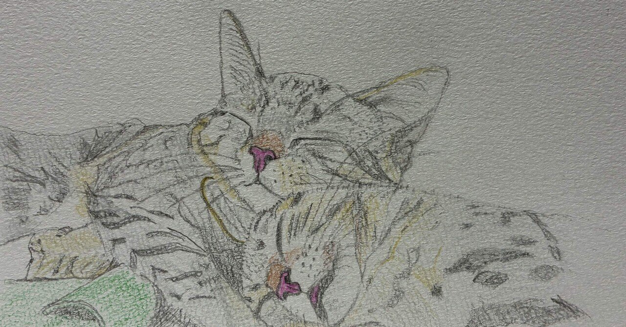 寄り添う猫の色鉛筆画です。｜まる