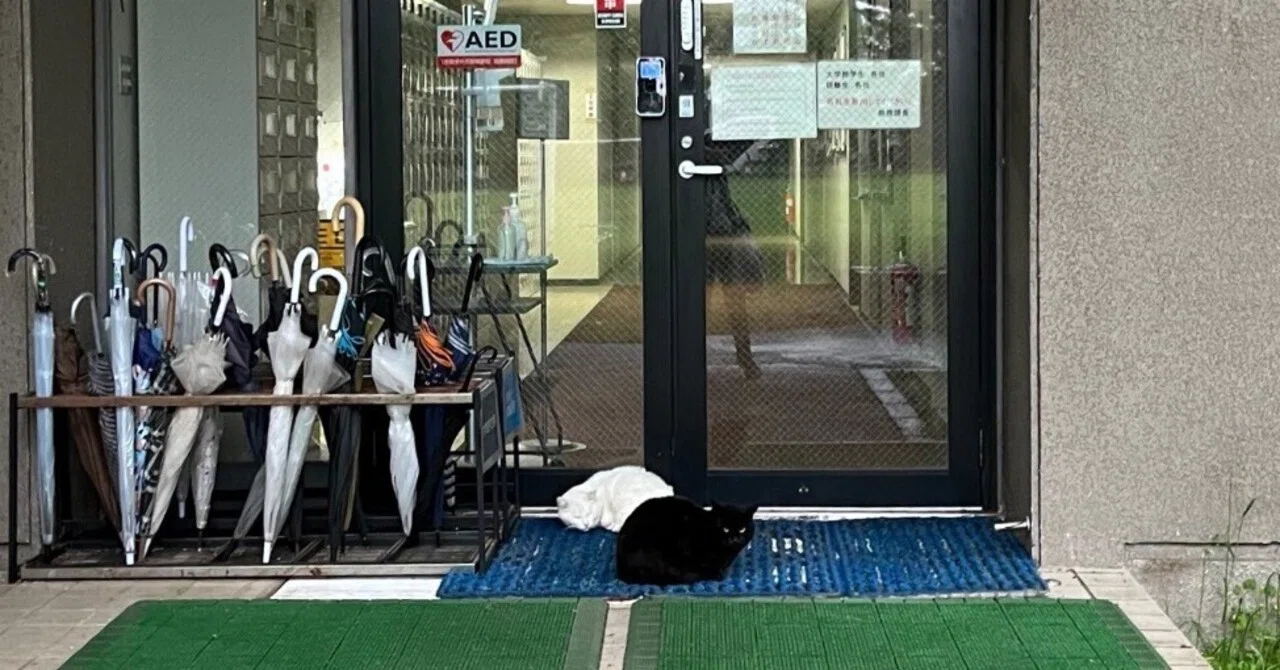 気象大学校10ヵ年 気象大学校のリアル｜み