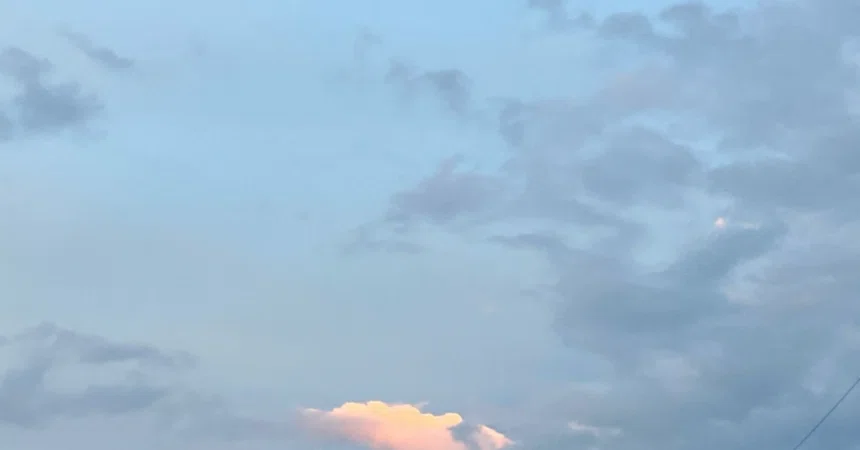 (2) Bali Trip with Kids - Departing from Haneda Airport -｜がじゅまるトマト | 自由 ...