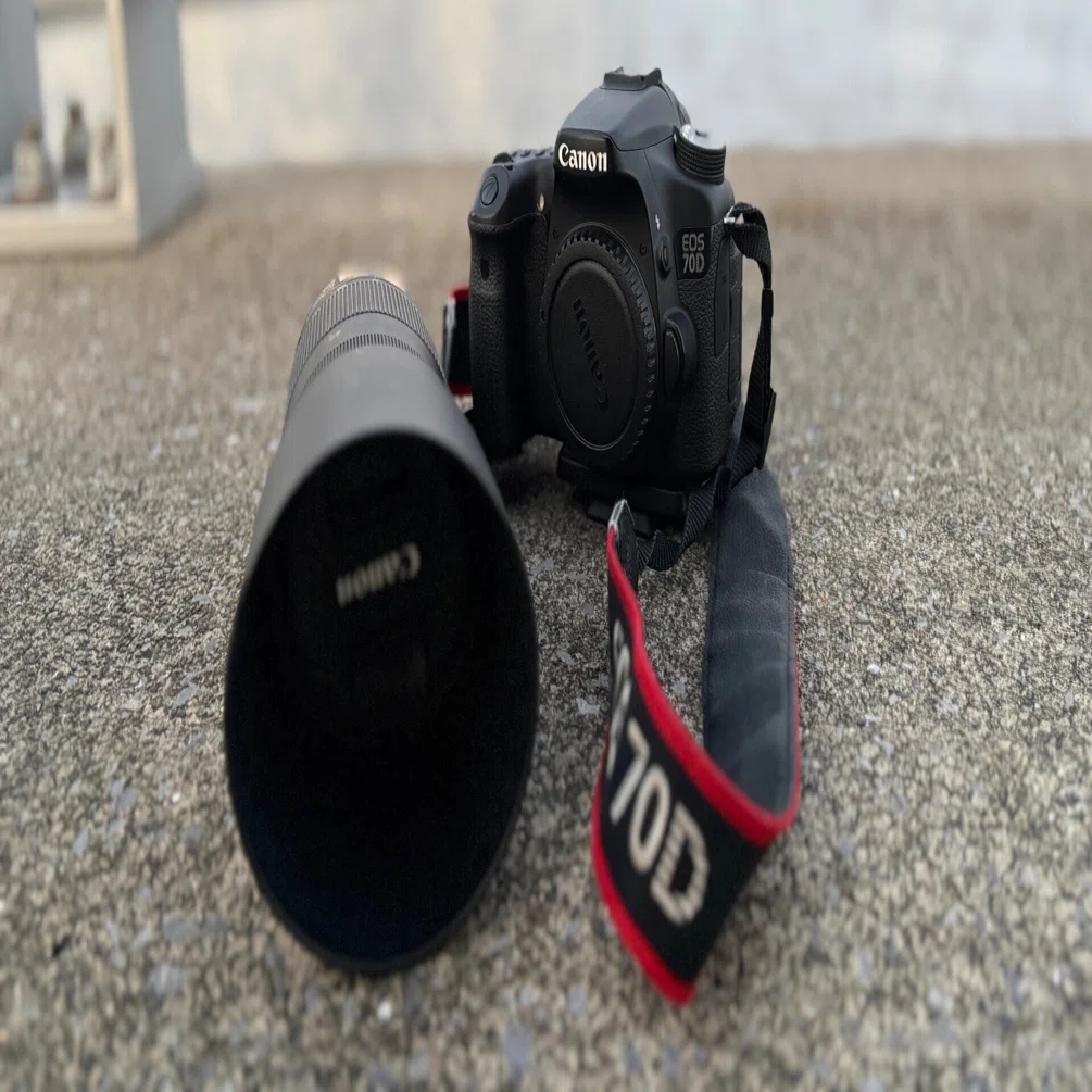 Nex-5nからEos70Dにした成り行き。その1｜砂鉄（すなてつ）