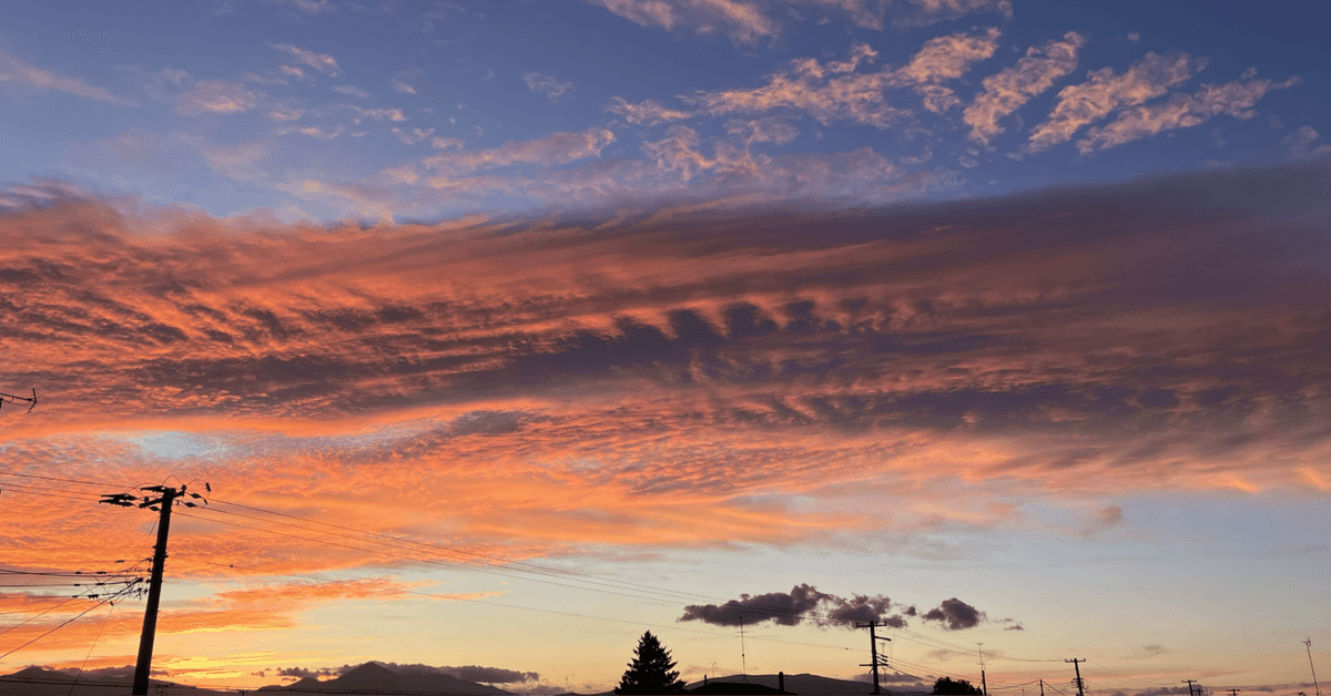君はどう過ごすか 』｜donchan1962