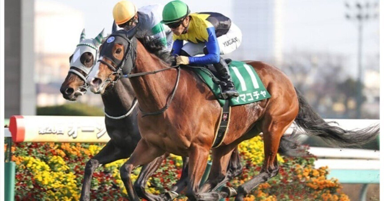 9/28🐴中山スプリンターズステークスG1勝ち馬予想🤔 どんな