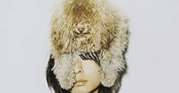 音楽感想: CHRONICLE/フジファブリック｜ちりとり