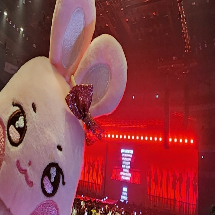 ATEEZのワルツイルコン(In Your Fantasy)の感想レポ｜Sophiea