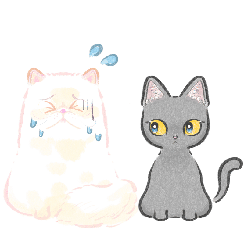 漫画 帰ったら何する １７ なぞなぞを解く 無料猫漫画 ヒマラヤンとボンベイ ぐるう 1万6千人noteﾌｫﾛﾜｰ 累計170万pvマンガ家 Note