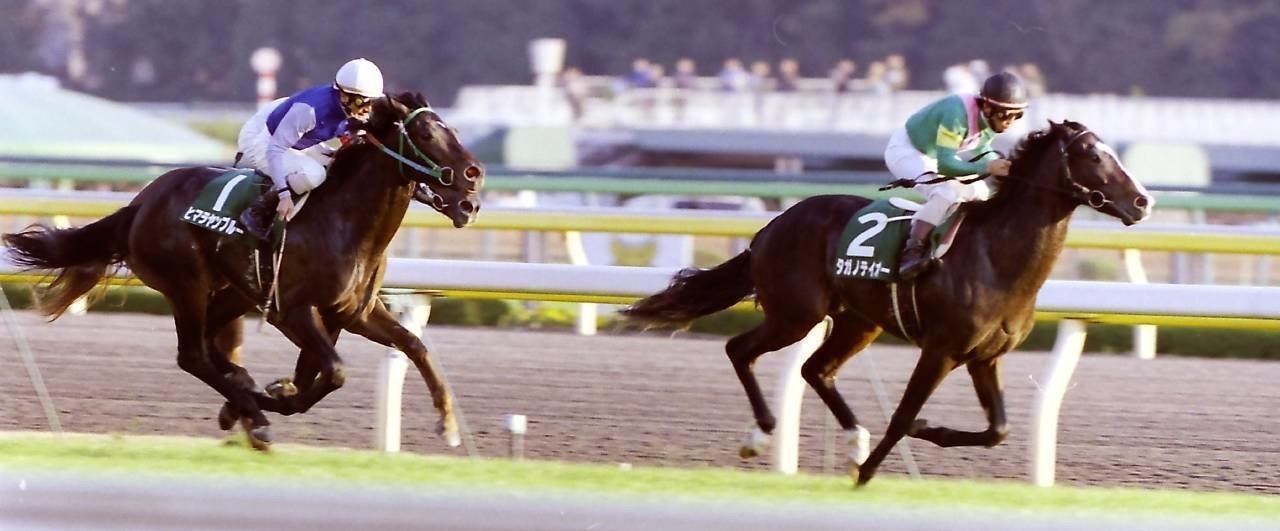 第5回東京スポーツ杯３歳S：蔵出し写真 2000年②タガノテイオー｜馬画 