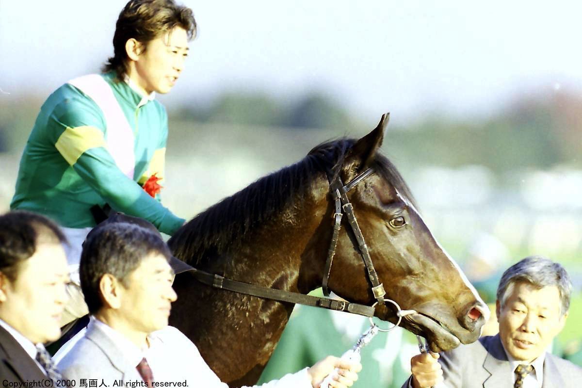 第5回東京スポーツ杯３歳S：蔵出し写真 2000年②タガノテイオー｜馬画 