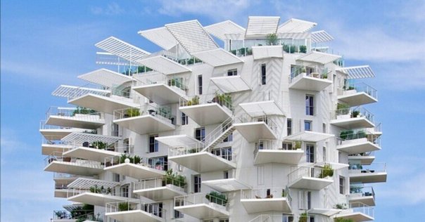 Architecture in Transition モダニズム建築 Architecture in Transition モダニズム建築 モダニズム建築の