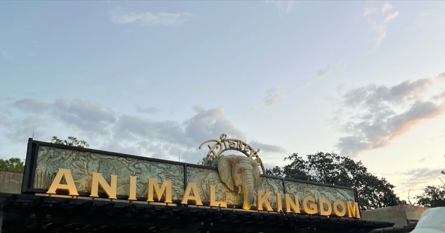 WDW(ディズニーワールド)初心者 旅行ブログ💫-アニマルキングダム編