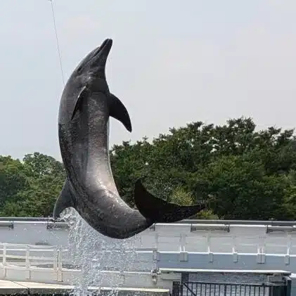 もっちー🐬