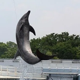 もっちー🐬