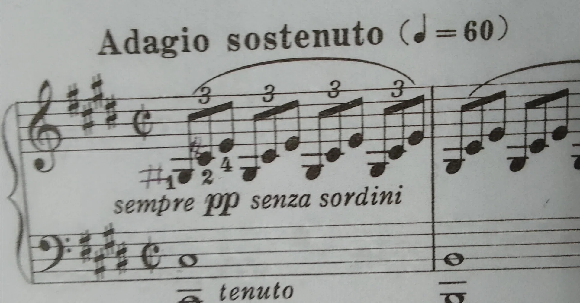 sempre 音楽 用語