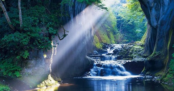 違和感”に気づく力。売却を通して見えた“わたしの答え”｜One Heart