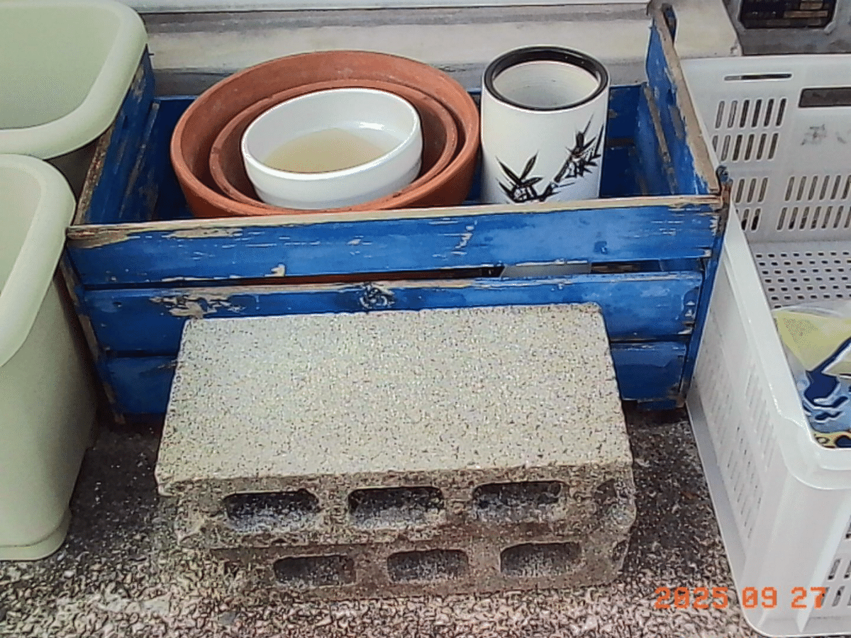 Kodak charmera ブルーを欲しかったが、黒か赤が出てしまった方 Kodak