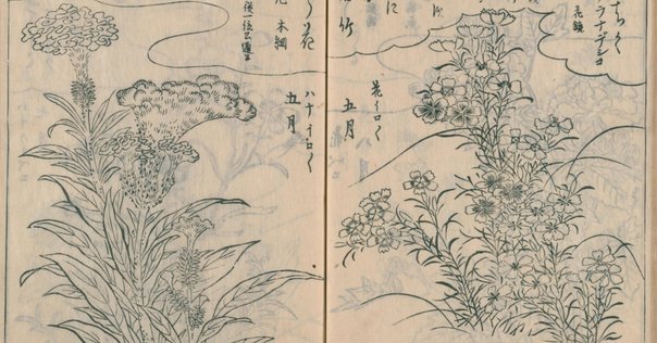 太平記 ZX250LCK 3 段ハイリフトを開いて、畳んで。 取り付けられている