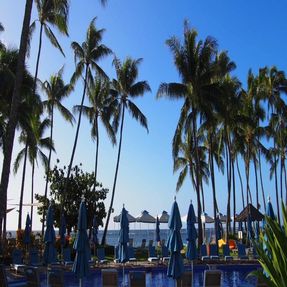 出発日で選ぶ！ハワイ旅行予約のベストタイミング【2026年最新版