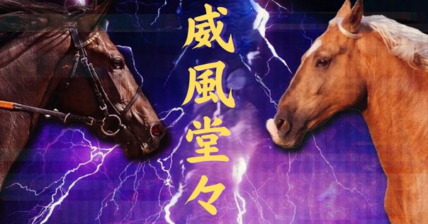 掛軸 馬場汀舟作 万葉集0092「秋山之樹下隠逝水乃吾許曽益目御念従者」864 掛軸 馬場汀舟作 万葉集0092「秋山之樹下隠逝水乃吾許曽益目御念