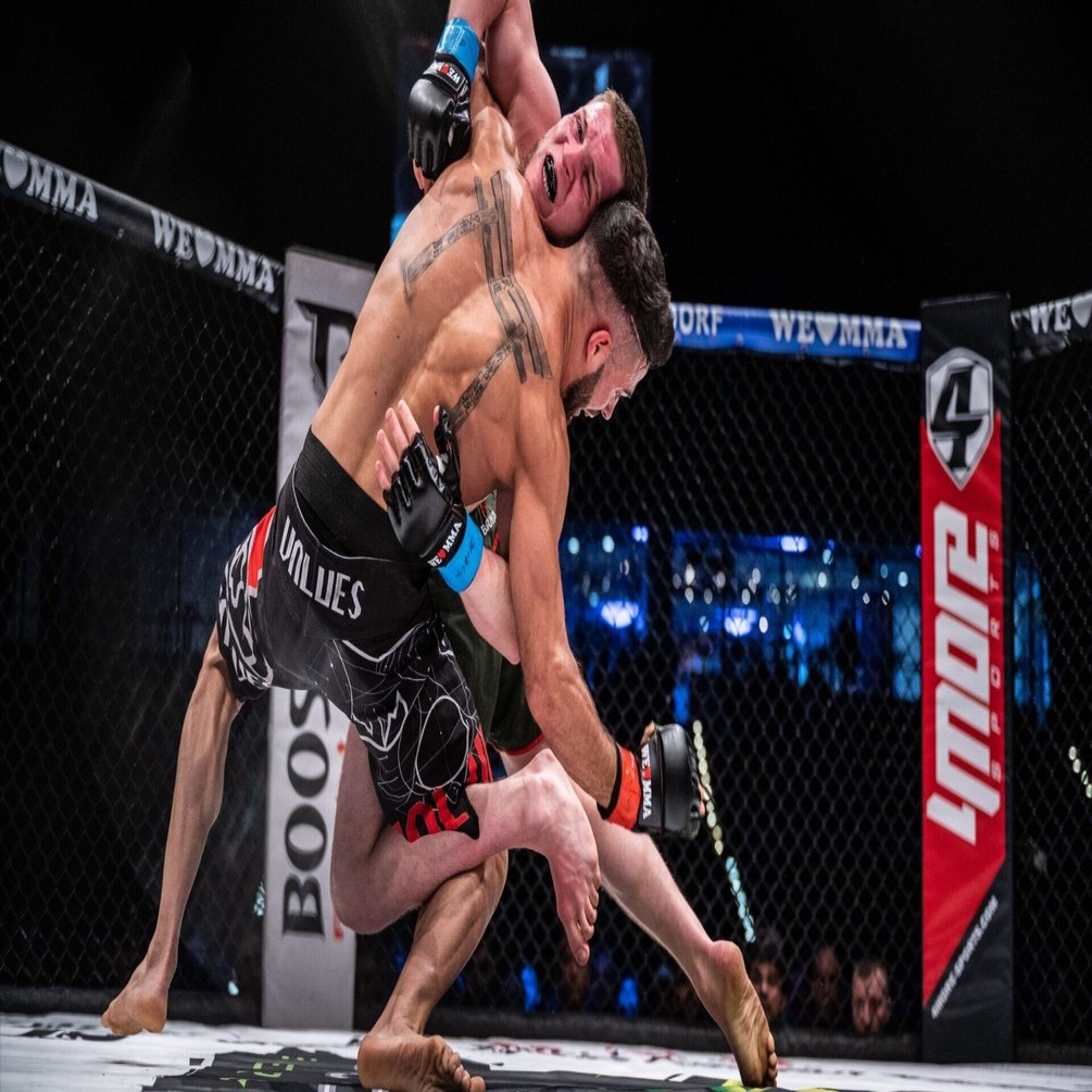 MMAにおける「首絞め」の科学：血管頸部拘束（VNR）の仕組みとリスク