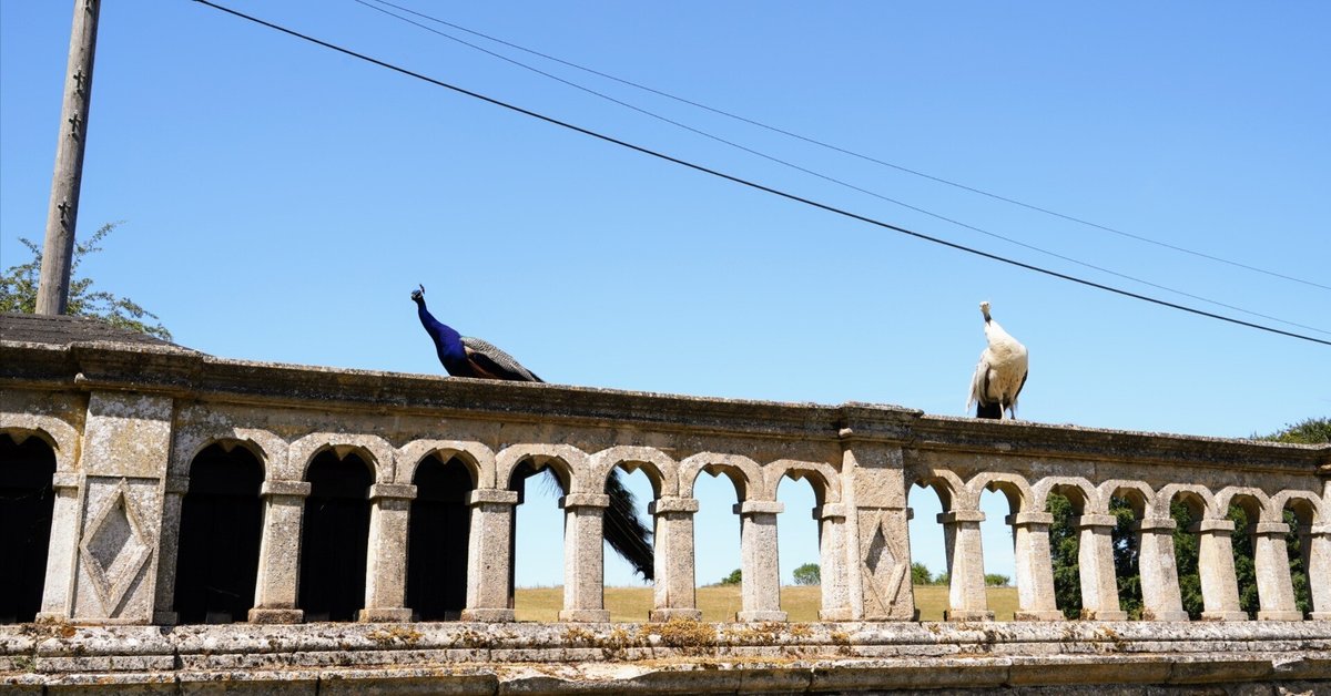 最高鑑定 1832年 イギリス領デメラリ植民地エセキボ 1/4ギルダー