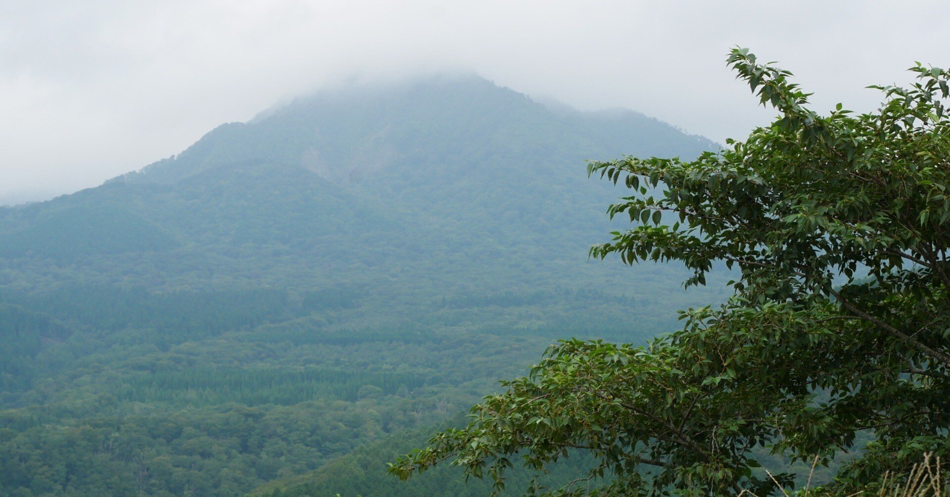 617 真昼の蒜山高原ドライブ｜ミヤコカエデ（Miyako Kaede)