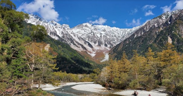 厳新気功学　テキスト 厳新気功学テキスト | 前 新, 培 金, 李 紅 |本 | 通販 | Amazon