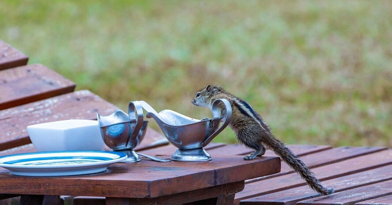 バラ売り可　東大日本史　野島博之　教材セット バラ売り可 東大日本史 野島博之 教材セット