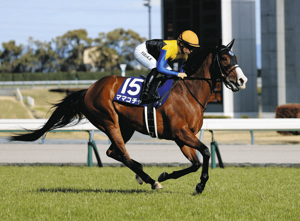 アイドルホース　ロードカナロア　スプリンターズS アイドルホース ロードカナロア スプリンターズS アイドルホース